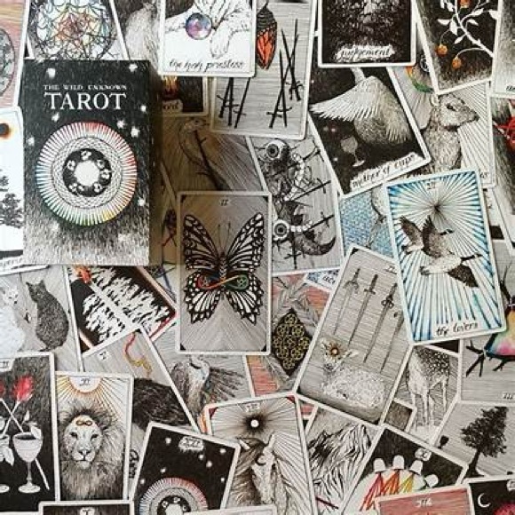 Kim Krans The Wild Unknown Tarot Deck and Guidebook (in keepsake box) - Picture 5 of 6